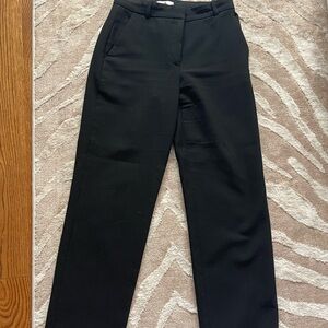 Aritzia Babaton Pants